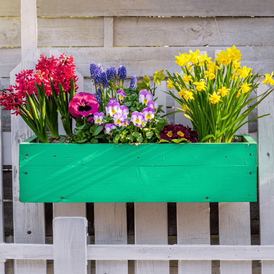 En grøn blomsterkasse fyldt med farverige forårsblomster som hyacinter, stedmoderblomster og påskeliljer.
