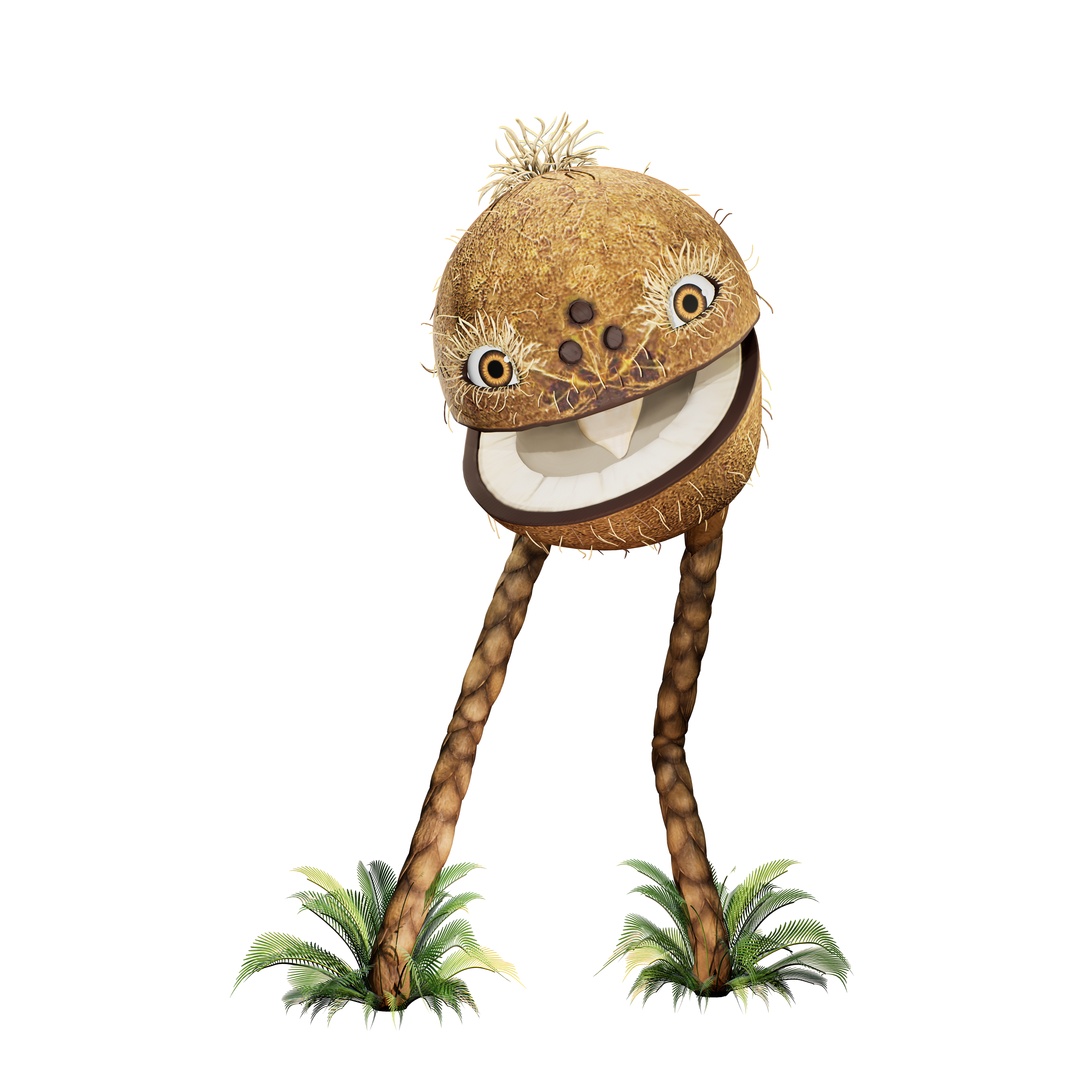 Coconutdon