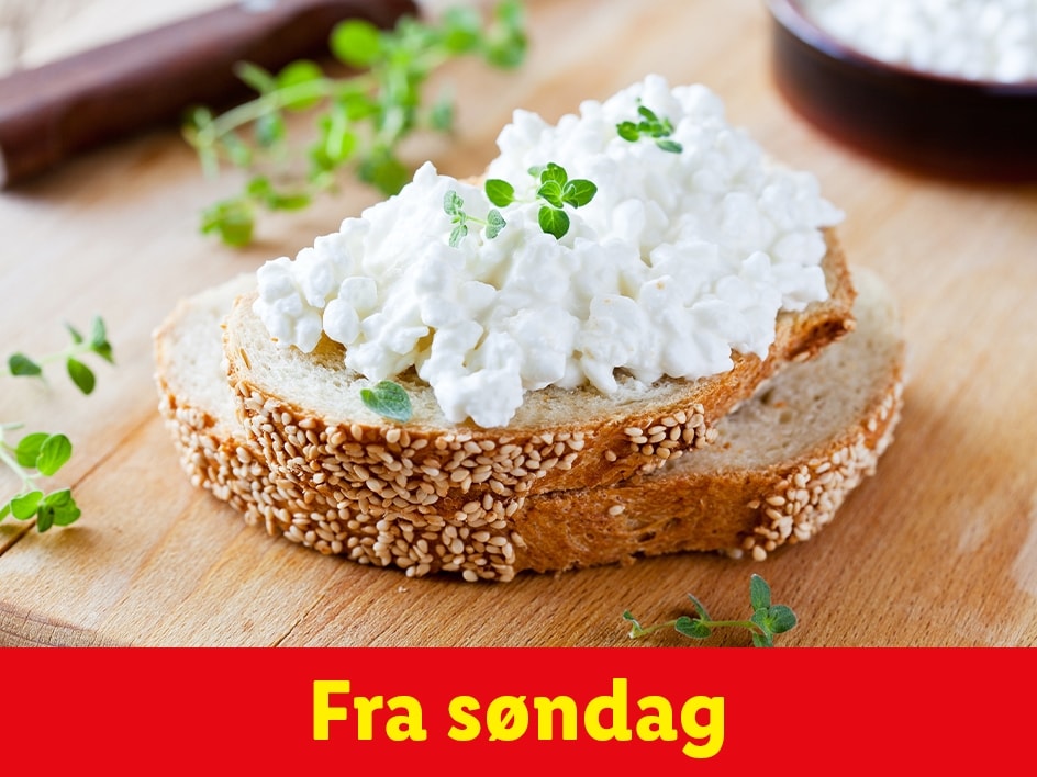 Mejeri, pålæg og hverdagsartikler