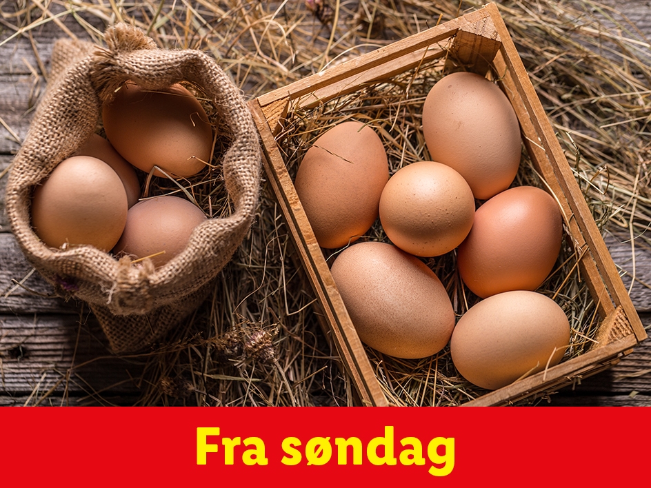 Mejeri, pålæg og hverdagsartikler