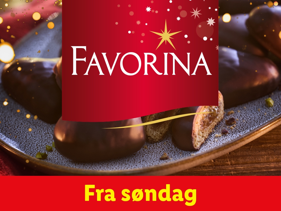 Den magiske juletid - Favorina