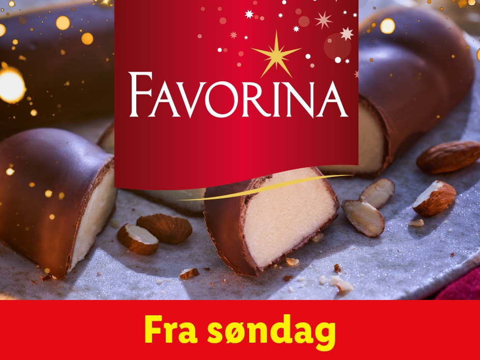 Den magiske juletid - Favorina