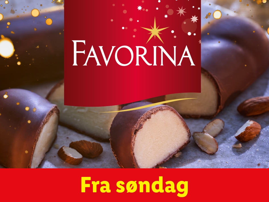 Den magiske juletid - Favorina