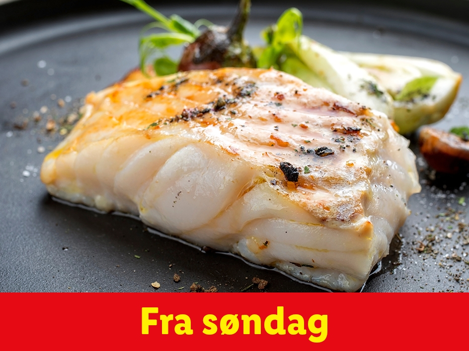 Ugens kød og fisk